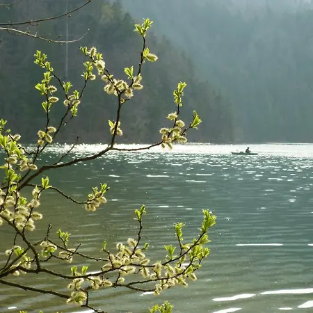 Διαμέρισμα Am Holderbusch Füssen
