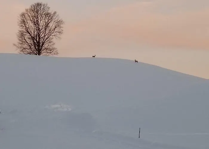 Lejlighed Am Holderbusch Füssen