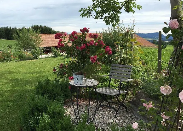 Am Holderbusch